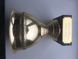 fotos rava